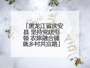 黑龙江省庆安县 坚持党建引领 农旅融合铺就乡村共富路