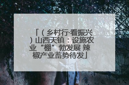 （乡村行·看振兴）山西天镇：设施农业“棚”勃发展 辣椒产业蓄势待发