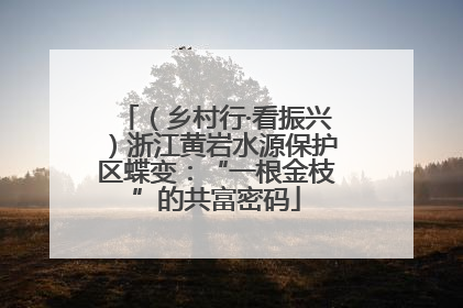 （乡村行·看振兴）浙江黄岩水源保护区蝶变：“一根金枝”的共富密码