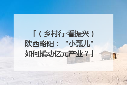 （乡村行·看振兴）陕西略阳：“小瓢儿”如何撬动亿元产业？