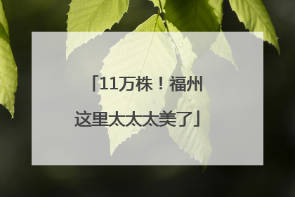 11万株！福州这里太太太美了