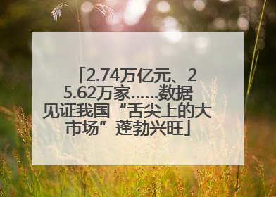 2.74万亿元、25.62万家……数据见证我国“舌尖上的大市场”蓬勃兴旺