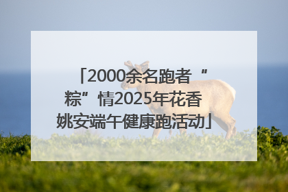 2000余名跑者“粽”情2025年花香姚安端午健康跑活动