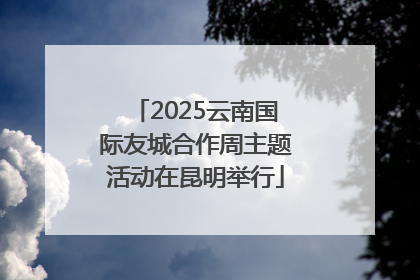2025云南国际友城合作周主题活动在昆明举行