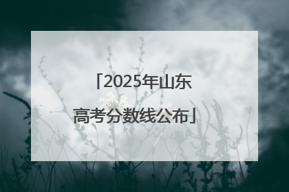 2025年山东高考分数线公布