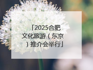 2025合肥文化旅游（东京）推介会举行