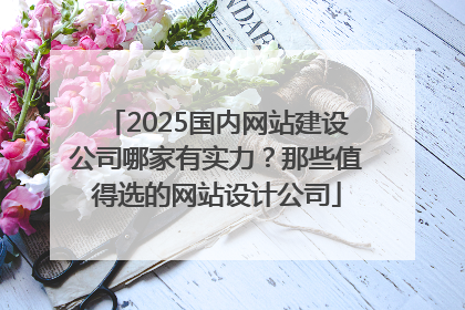 2025国内网站建设公司哪家有实力？那些值得选的网站设计公司