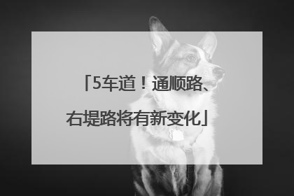 5车道！通顺路、右堤路将有新变化