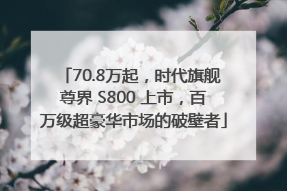 70.8万起，时代旗舰尊界 S800 上市，百万级超豪华市场的破壁者