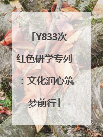 Y833次红色研学专列：文化润心筑梦前行